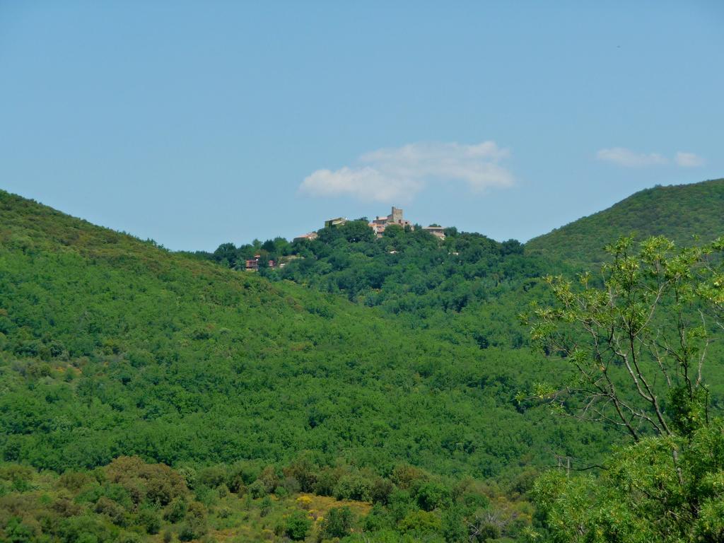 Chateau Olmet Lodève Екстериор снимка